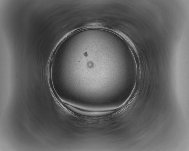 X0000116881341200912221418