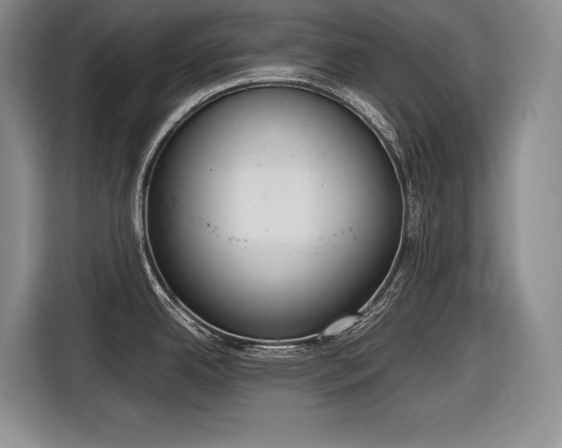 X0000116881342200912221418