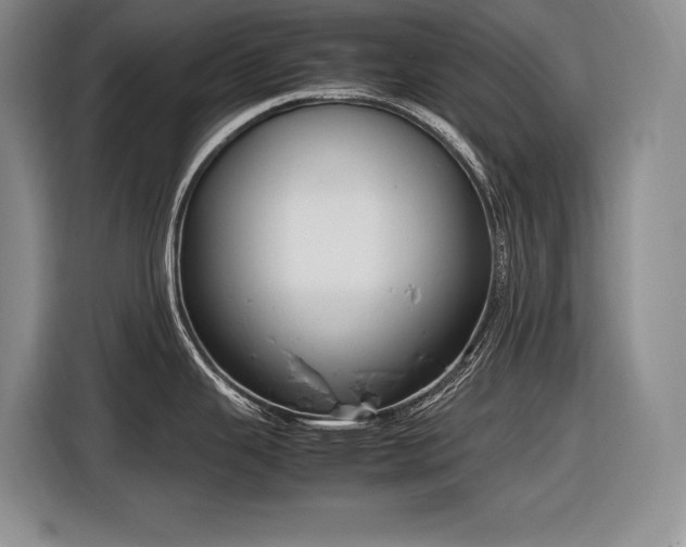 X0000116881343200912221418