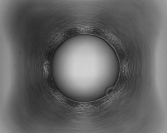 X0000116881346200912221417