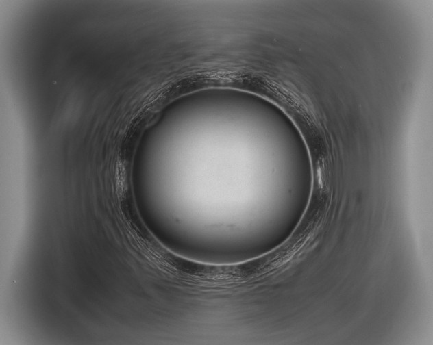 X0000116881347200912221417