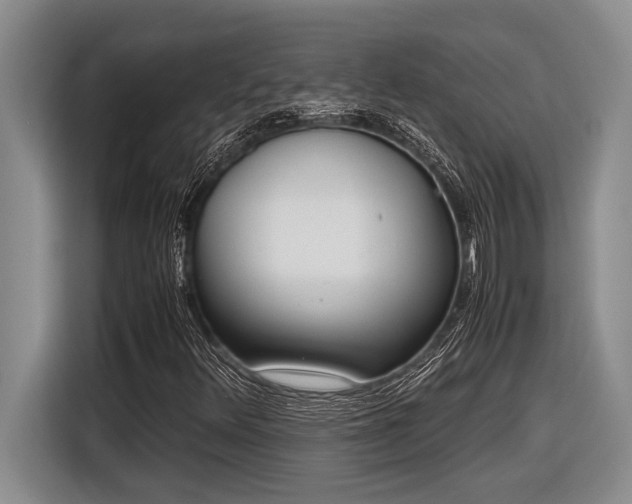 X0000116881348200912221417