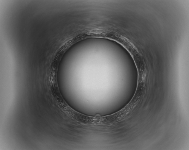 X0000116881350200912221417