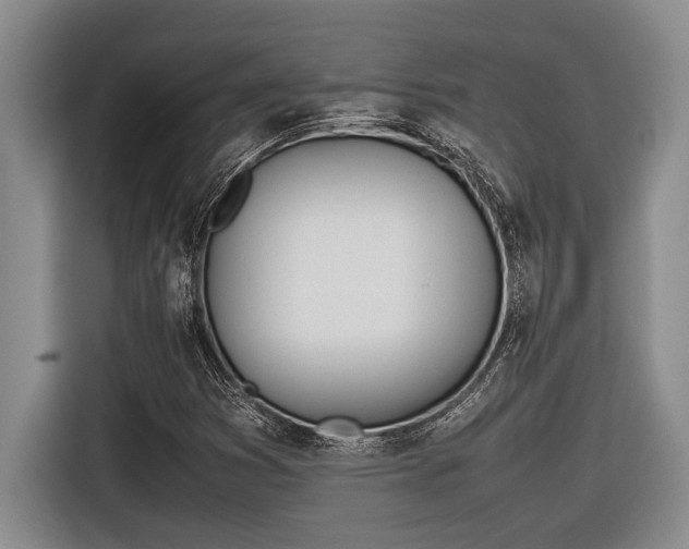 X0000116881353200912221417