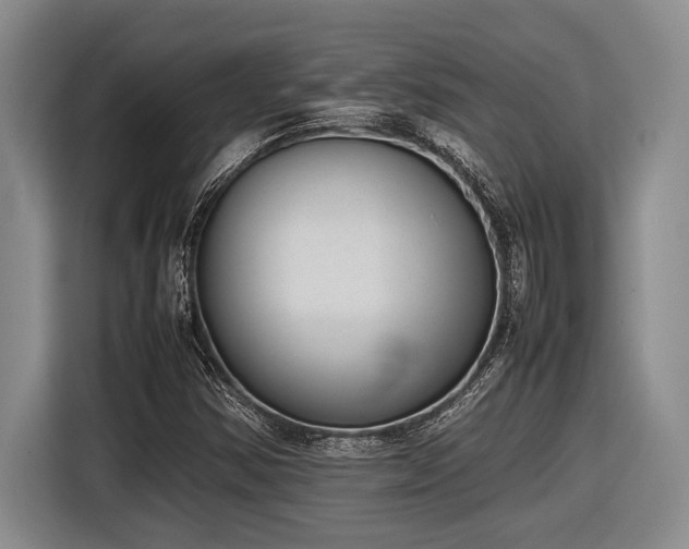 X0000116881354200912221417