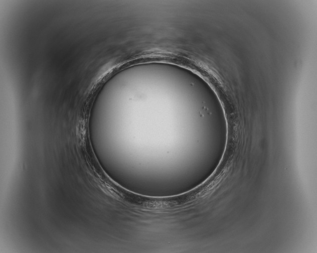 X0000116881355200912221417