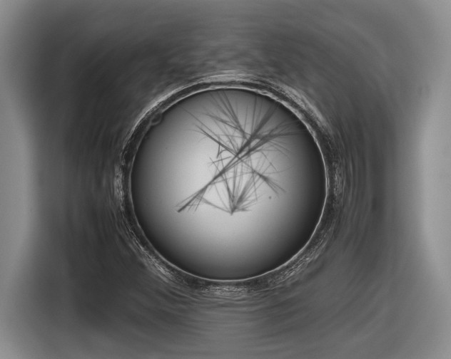 X0000116881356200912221417
