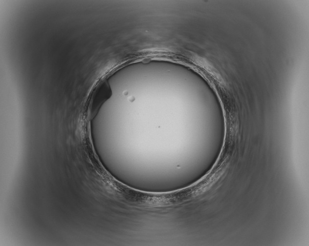 X0000116881357200912221417