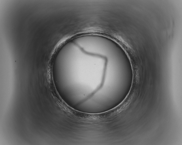 X0000116881358200912221417