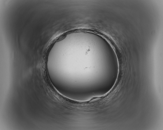 X0000116881359200912221417