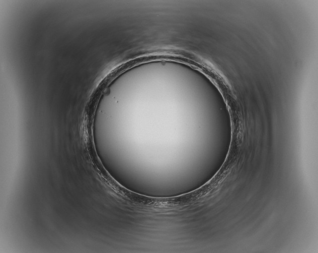 X0000116881360200912221417
