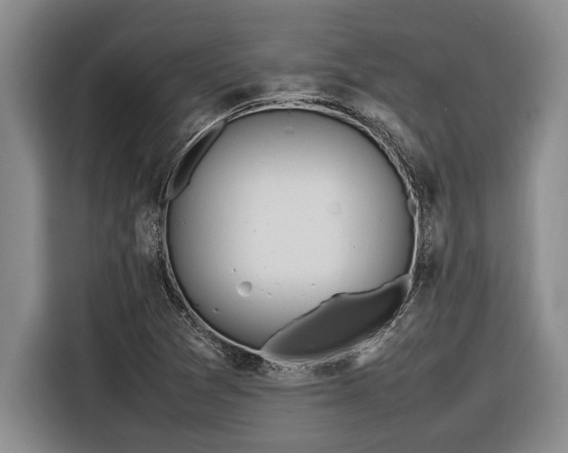 X0000116881361200912221417