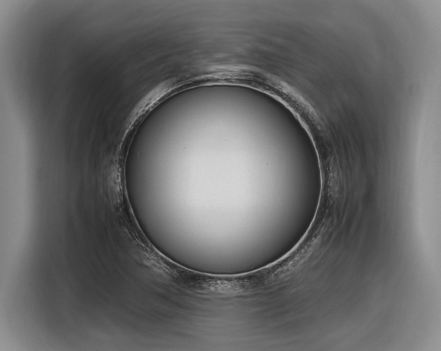 X0000116881362200912221417