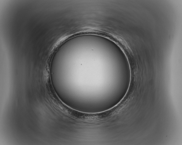 X0000116881363200912221417
