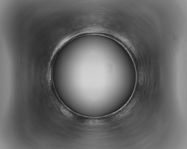 X0000116881366200912221417