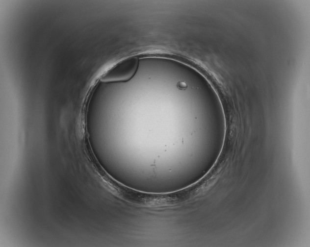 X0000116881367200912221417