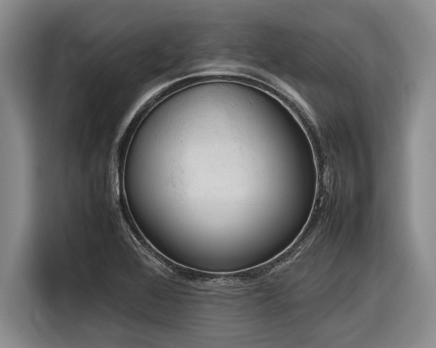X0000116881368200912221417
