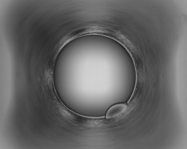 X0000116881369200912221417