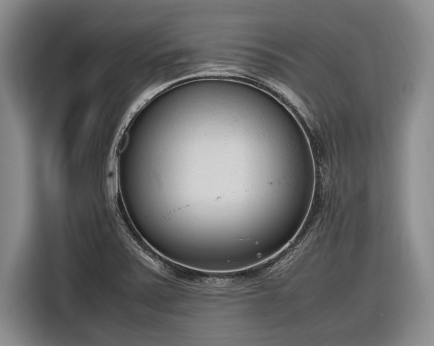 X0000116881371200912221417