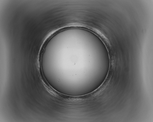X0000116881372200912221417