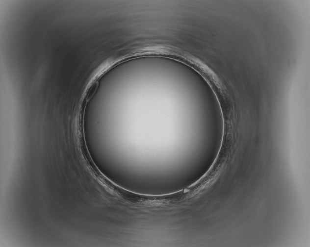 X0000116881373200912221417