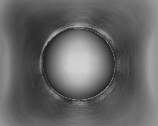X0000116881374200912221417