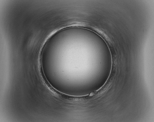 X0000116881375200912221417