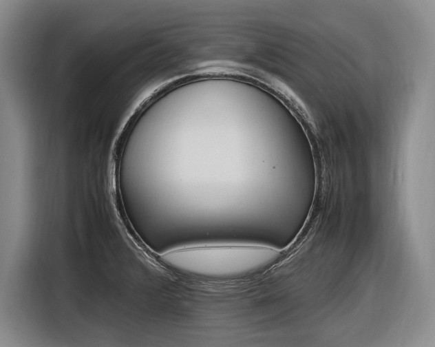 X0000116881376200912221417