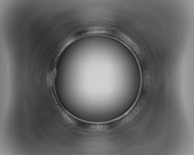 X0000116881377200912221417