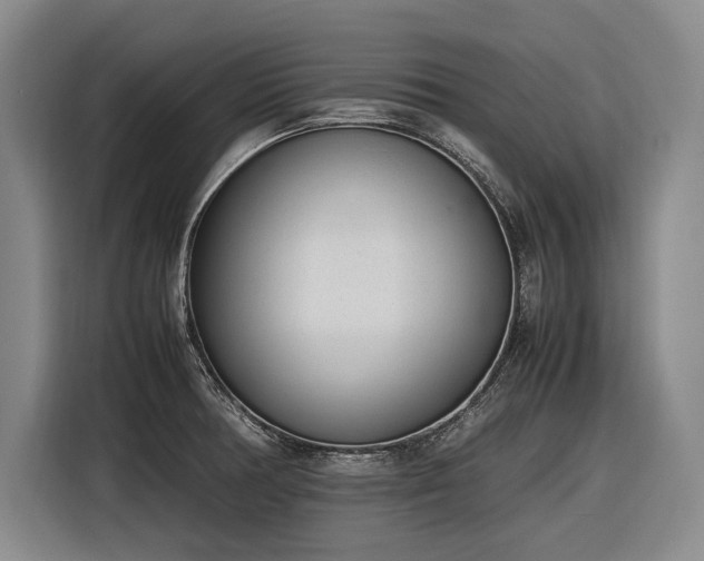 X0000116881378200912221417