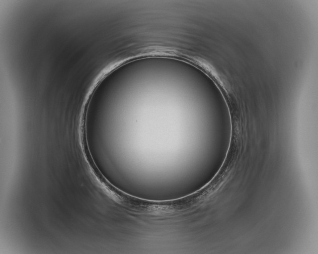X0000116881379200912221417