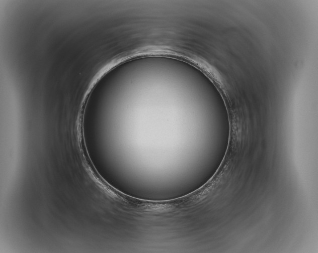 X0000116881382200912221417