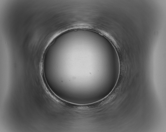 X0000116881383200912221417
