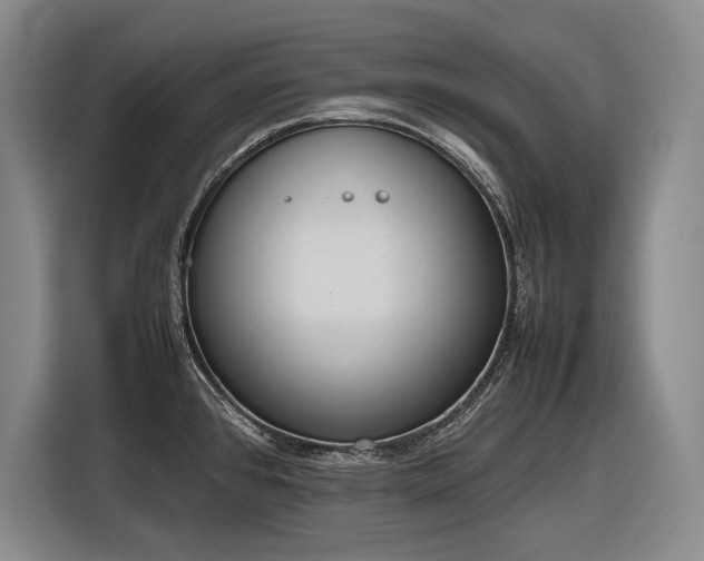 X0000116881384200912221417