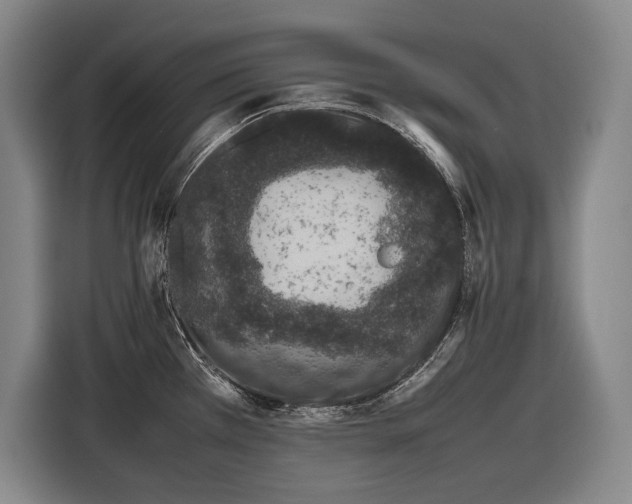 X0000116881385200912221417