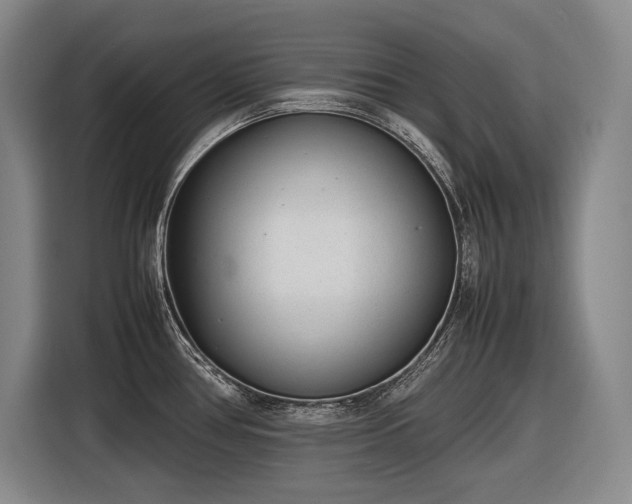 X0000116881386200912221417