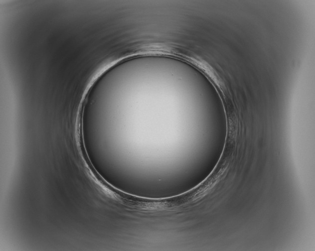 X0000116881387200912221417
