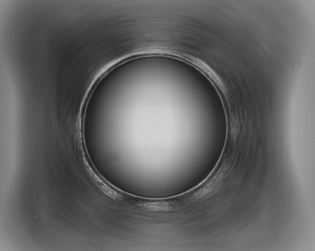 X0000116881388200912221417