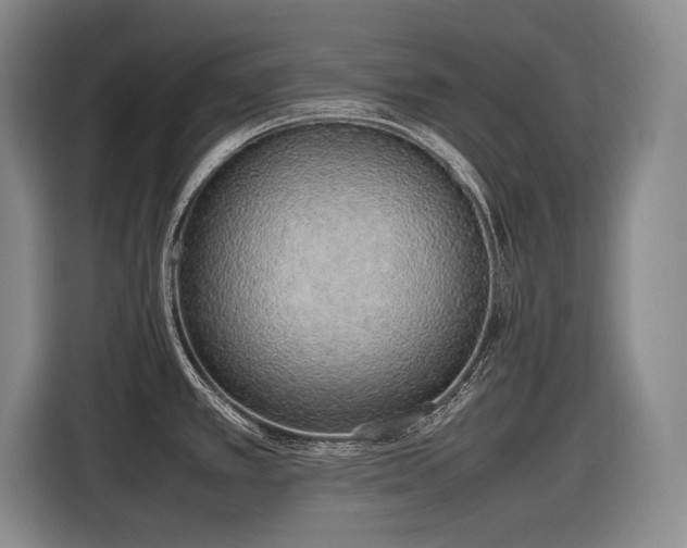 X0000116881389200912221417