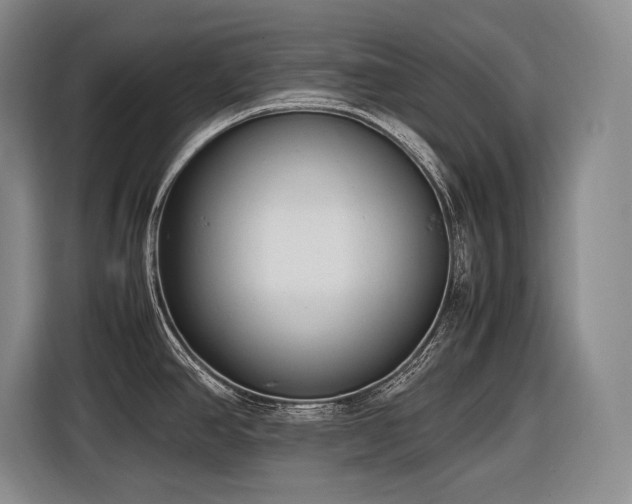 X0000116881390200912221417