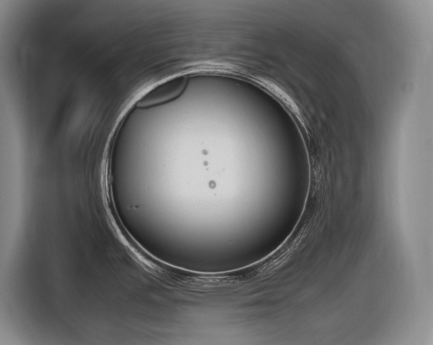 X0000116881391200912221417