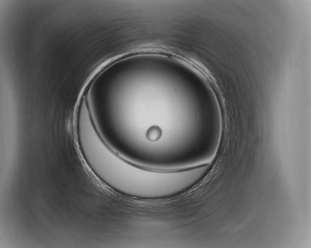 X0000116881392200912221417