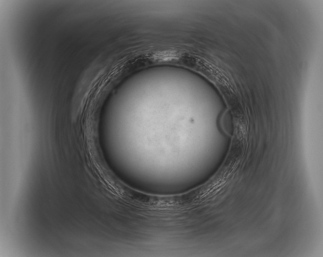 X0000116881393200912221416
