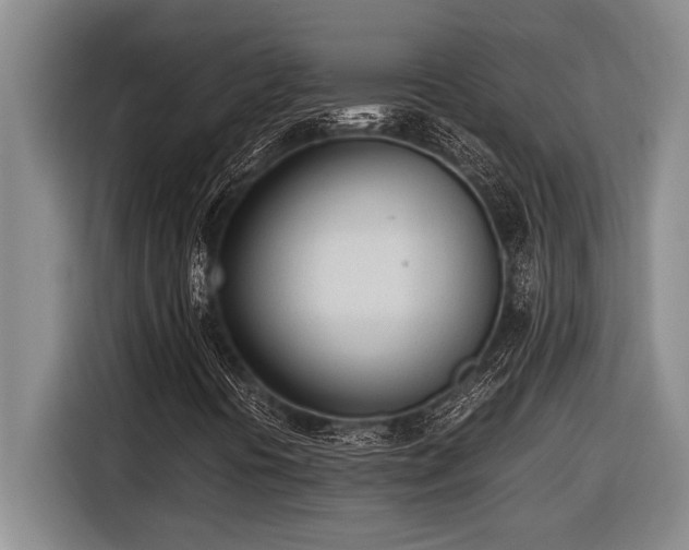 X0000116881394200912221416