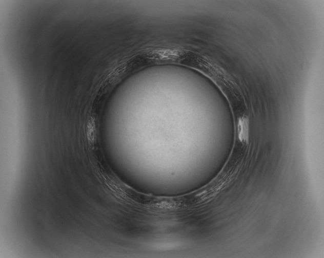 X0000116881395200912221416