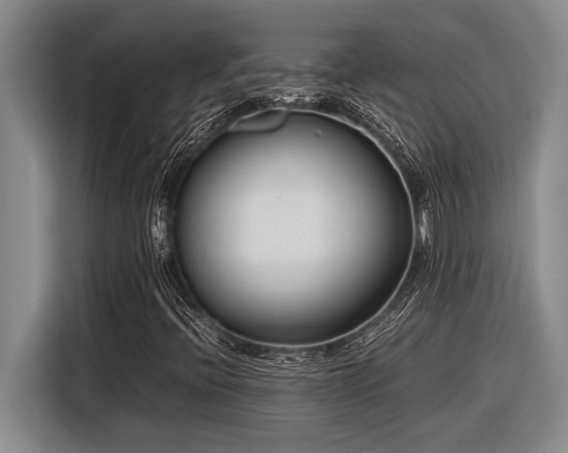 X0000116881396200912221416