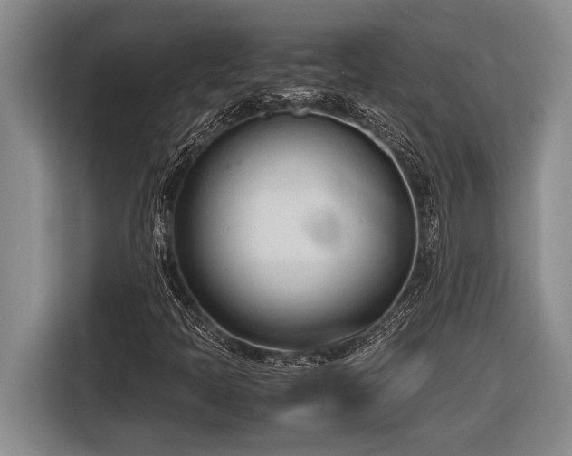 X0000116881397200912221416