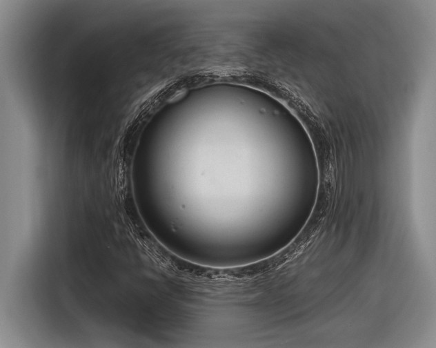 X0000116881398200912221416