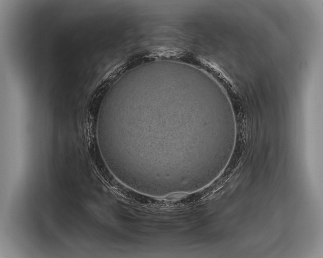X0000116881399200912221416