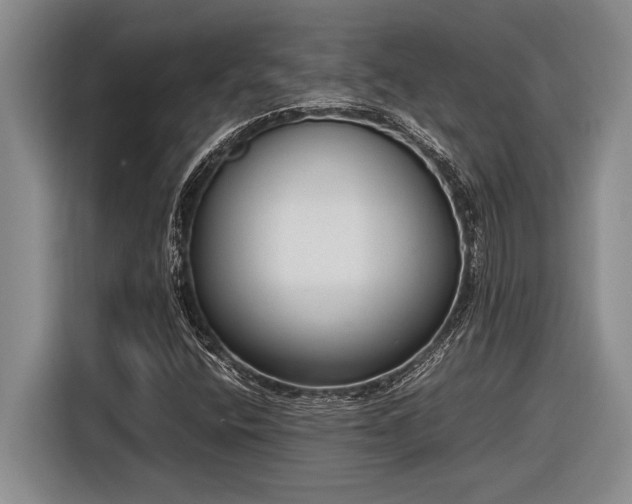 X0000116881400200912221416